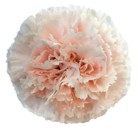 Moon Golem