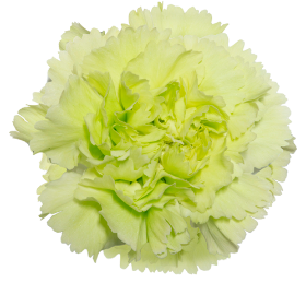 Greenshot