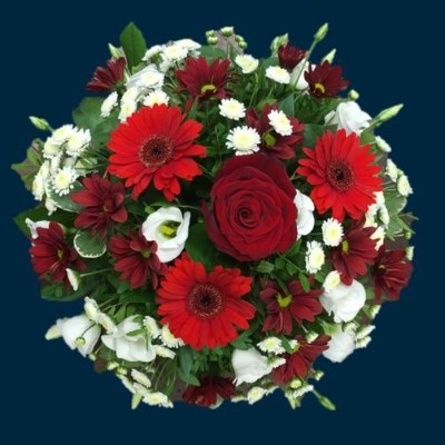 Red and White Posy