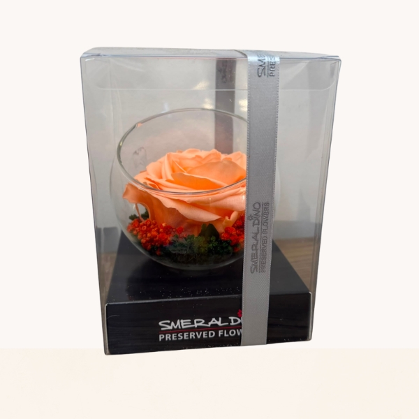 Luxury preserved rose displayed in a glass bowl and presented in a premium gift box.
