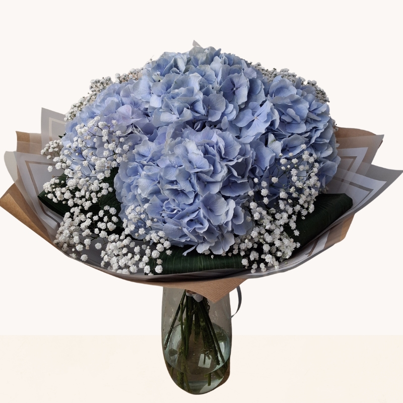 Luxury hand-tied bouquet of blue hydrangeas beautifully finished with delicate white gypsophila.