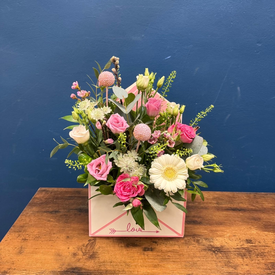 Envelope of Elegance