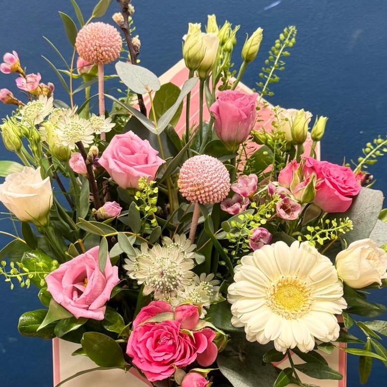 Envelope of Elegance