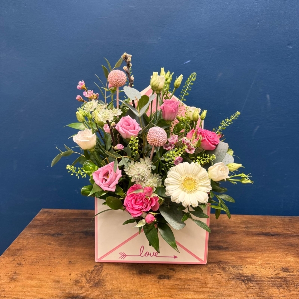 Envelope of Elegance