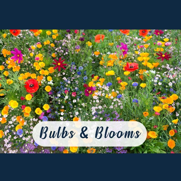 spring flower workshop in West Malling florist shop