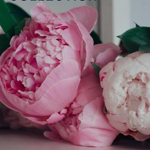 Luxury pink peony bouquet with seasonal flowers by West Malling Flowers