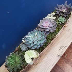 The Woodland Low Bowl