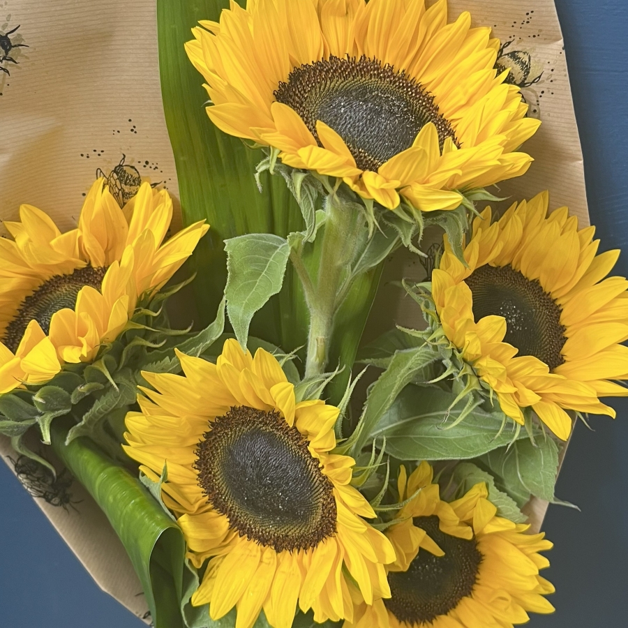 Sunflower Gift Wrap