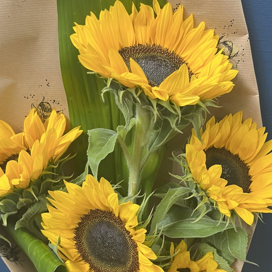 Sunflower Gift Wrap