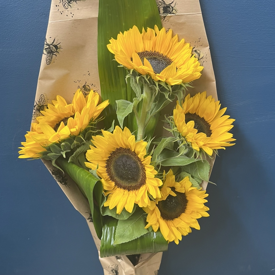 Sunflower Gift Wrap