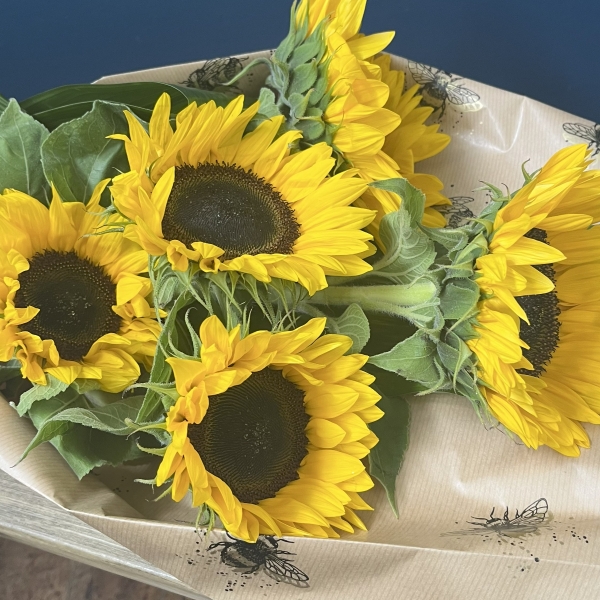 Sunflower Gift Wrap