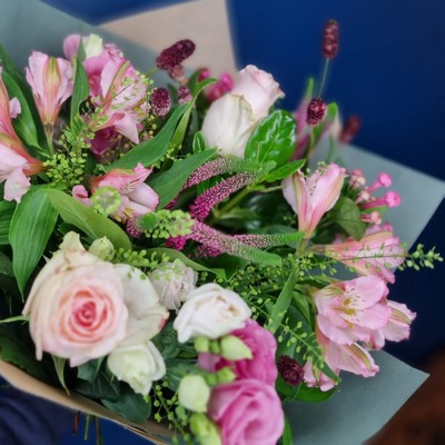 Autumn Pinks