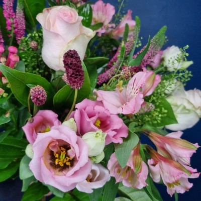 Autumn Pinks
