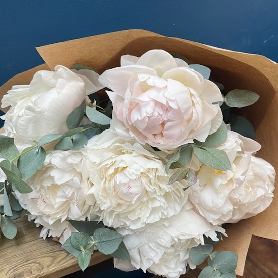 Peony Elegance