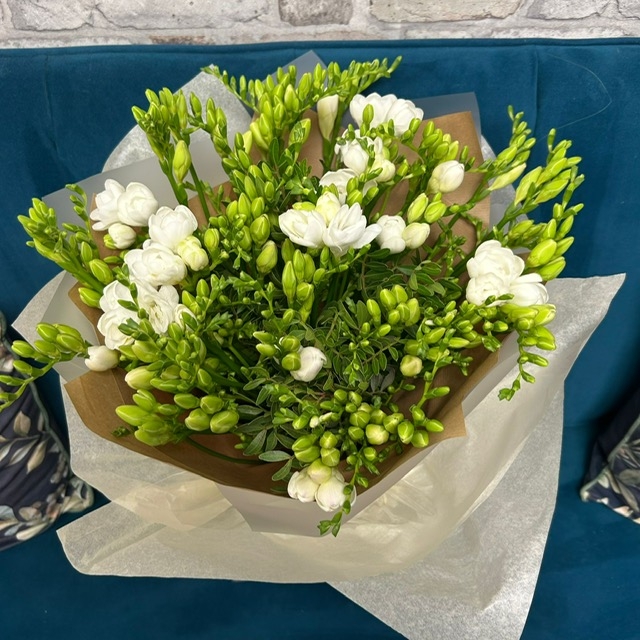 Pure Freesia