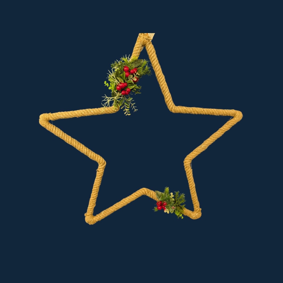 Simple Red Door Star