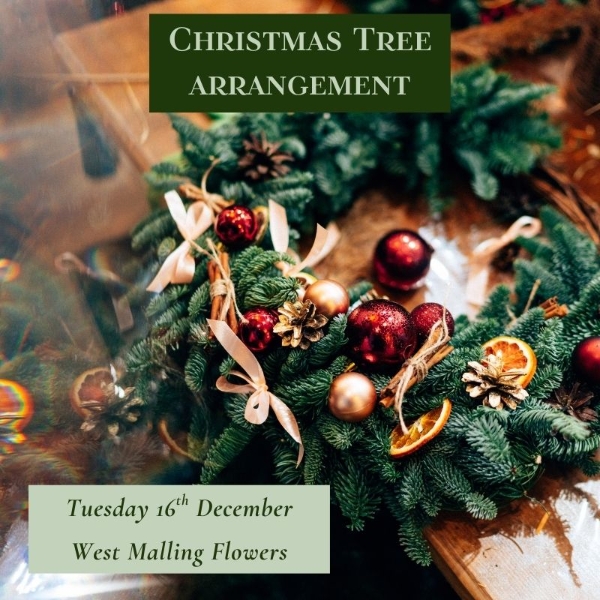 Tuesday 16th December Evening