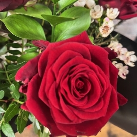 six red roses arranged in a vase by West Malling Flowers