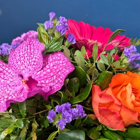 Vibrant summer flower arrangement in orange ceramic pot with pink purple and orange flowers