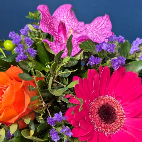 Vibrant summer flower arrangement in orange ceramic pot with pink purple and orange flowers