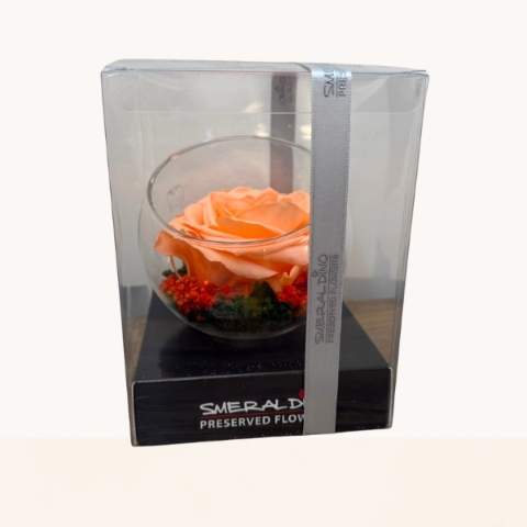 Luxury preserved rose displayed in a glass bowl and presented in a premium gift box.