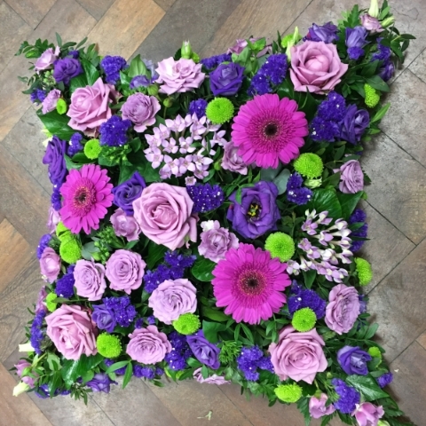 Purple Cushion