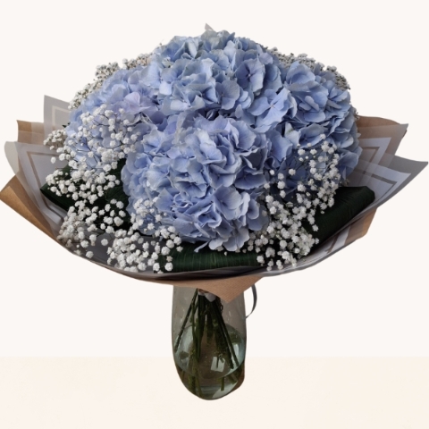 Luxury hand-tied bouquet of blue hydrangeas beautifully finished with delicate white gypsophila.