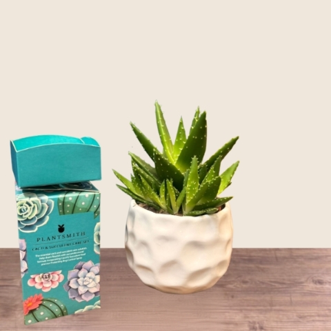 House plant gift with plant care bottle in decorative pot