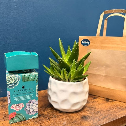 House Plants Care gift