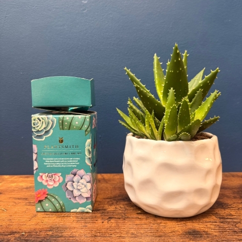 House Plants Care gift