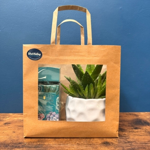 House Plants Care gift