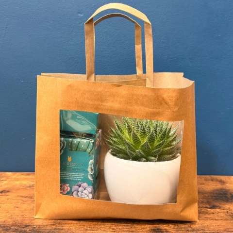 House Plant care gift