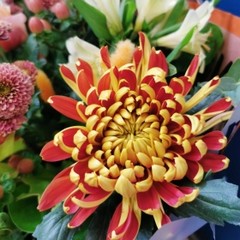 Autumn Hand Tie