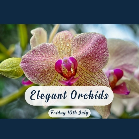 Orchid floral arrangement workshop with crescent shaped modern design