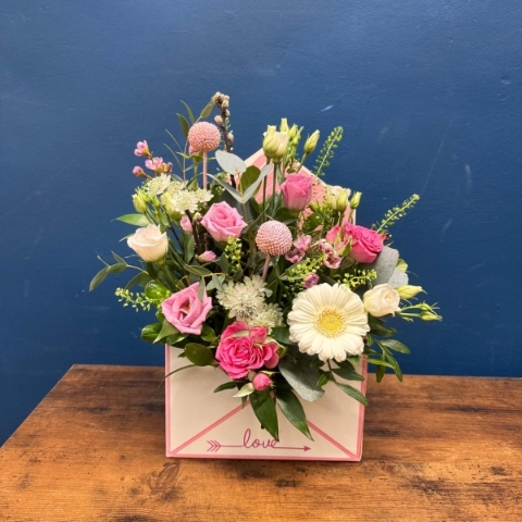 Envelope of Elegance