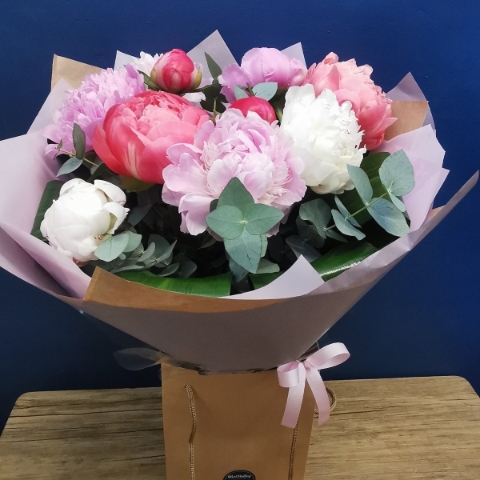 Peony Delight