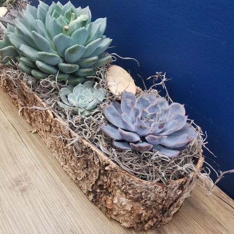 The Woodland Low Bowl