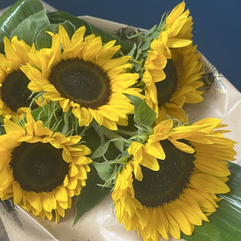 Sunflower Gift Wrap