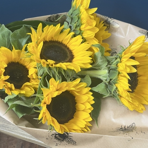 Sunflower Gift Wrap
