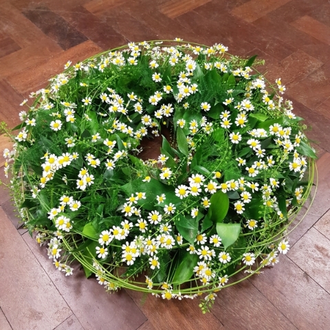 Natural Daisy Wreath