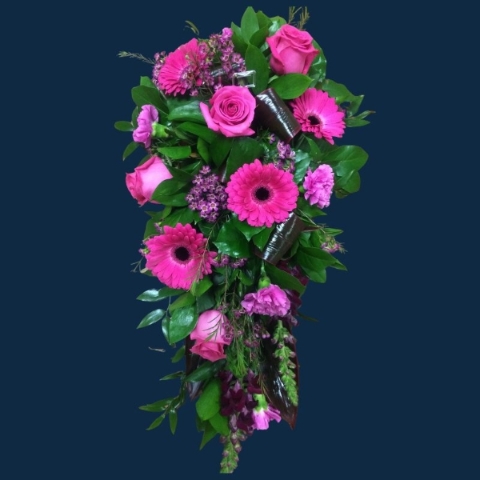 Bright Pink Spray