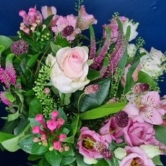 Autumn Pinks