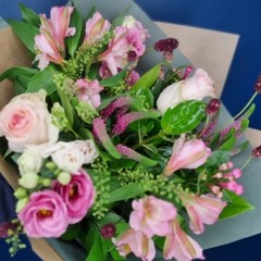 Autumn Pinks