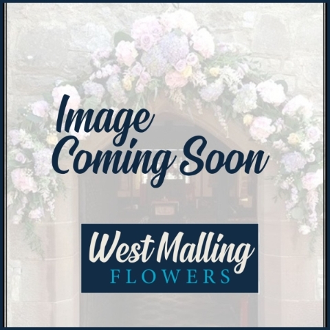 Bridesmaids (Romantic)