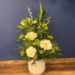 Coronation Pot Arrangement