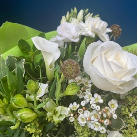 Eco Friendly White Hand Tie