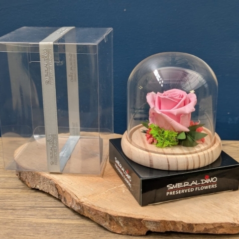 Forever Roses