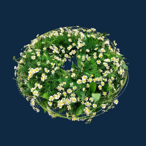 Natural Daisy Wreath