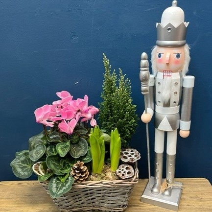 Nutcracker Planted Basket