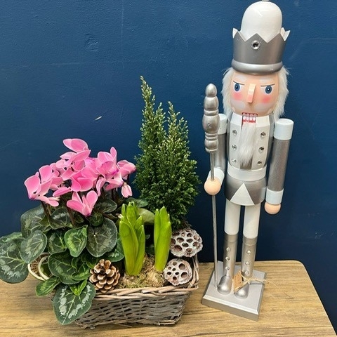 Nutcracker Planted Basket